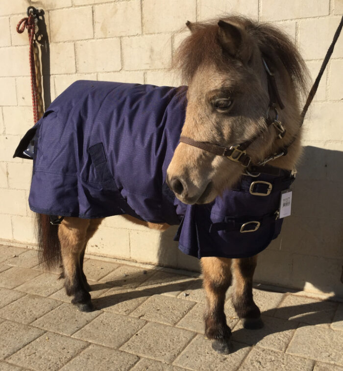 falabella-regendecke-null