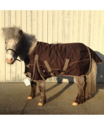 ganzjahresdecke-mit-fleece-shetty