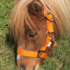 schuif-cali-orange
