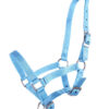 shetty-halfter-blue