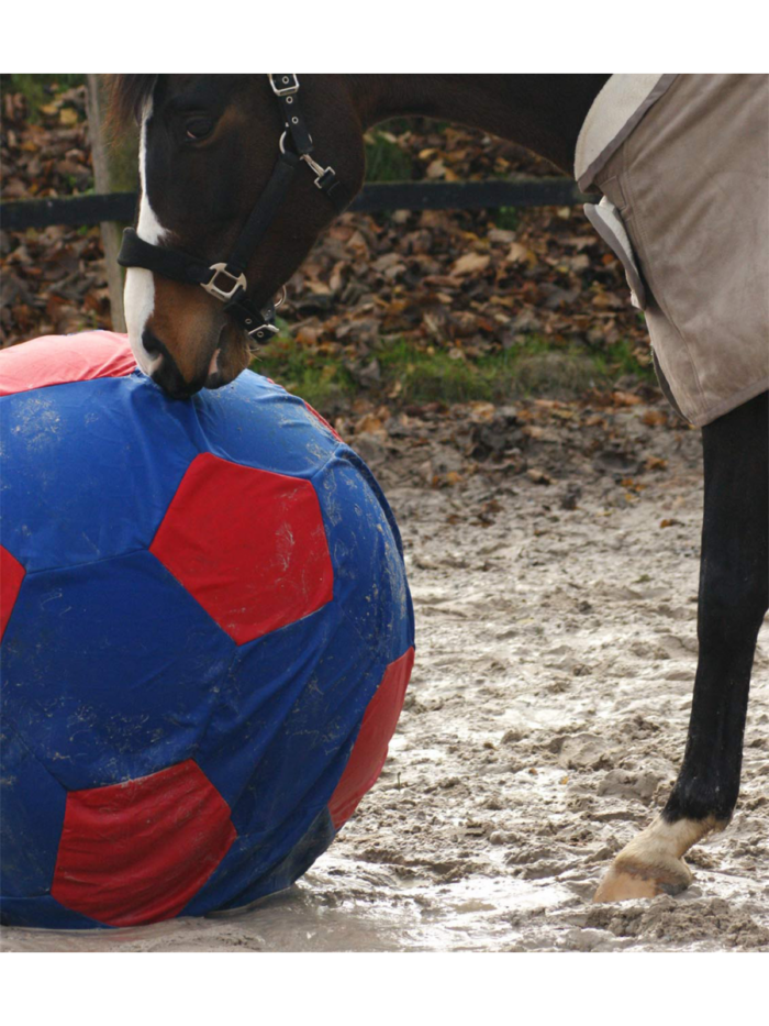 mega ball cover