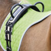 longiergurt double schwarz/beige