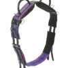 longiergurt double blau/pink