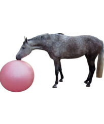 fussball-rosa