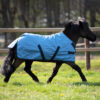 windchilly